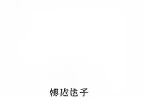 《两页合同的距离》两页纸张并排摆放，中间留出空白