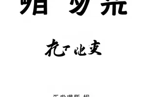 《剪辑台前的第七稿》时间线轨道上密集的剪切点