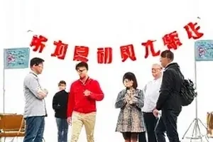 《一条置顶评论》手机端评论区界面，顶部一条被标红